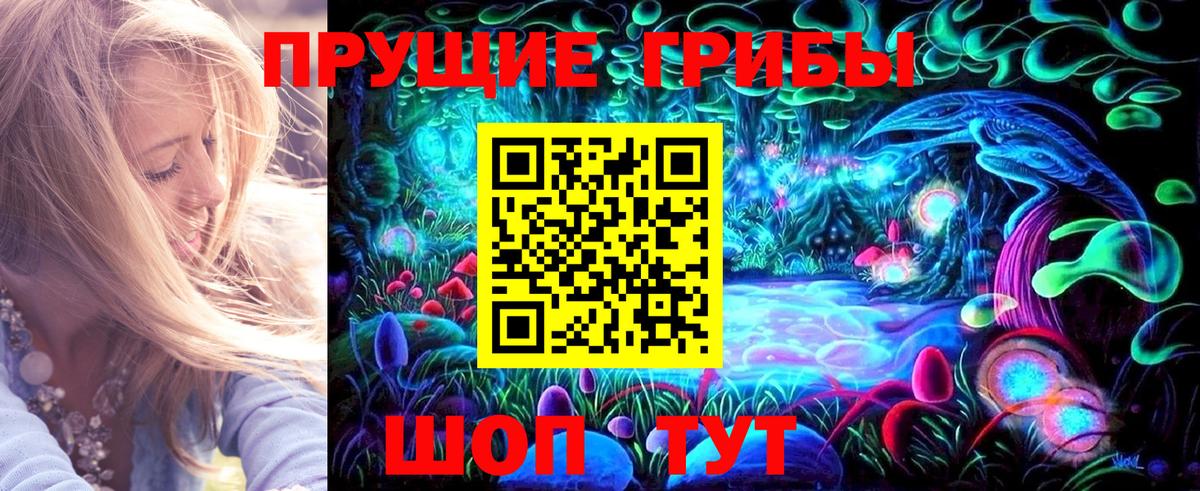 Долгопрудный  Галлюциногенные грибы Psilocybine cubensis  Вход с VPN 