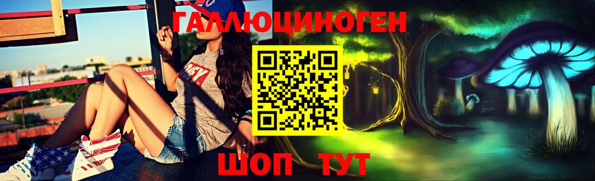 Галлюциногенные грибы GOLDEN TEACHER Долгопрудный